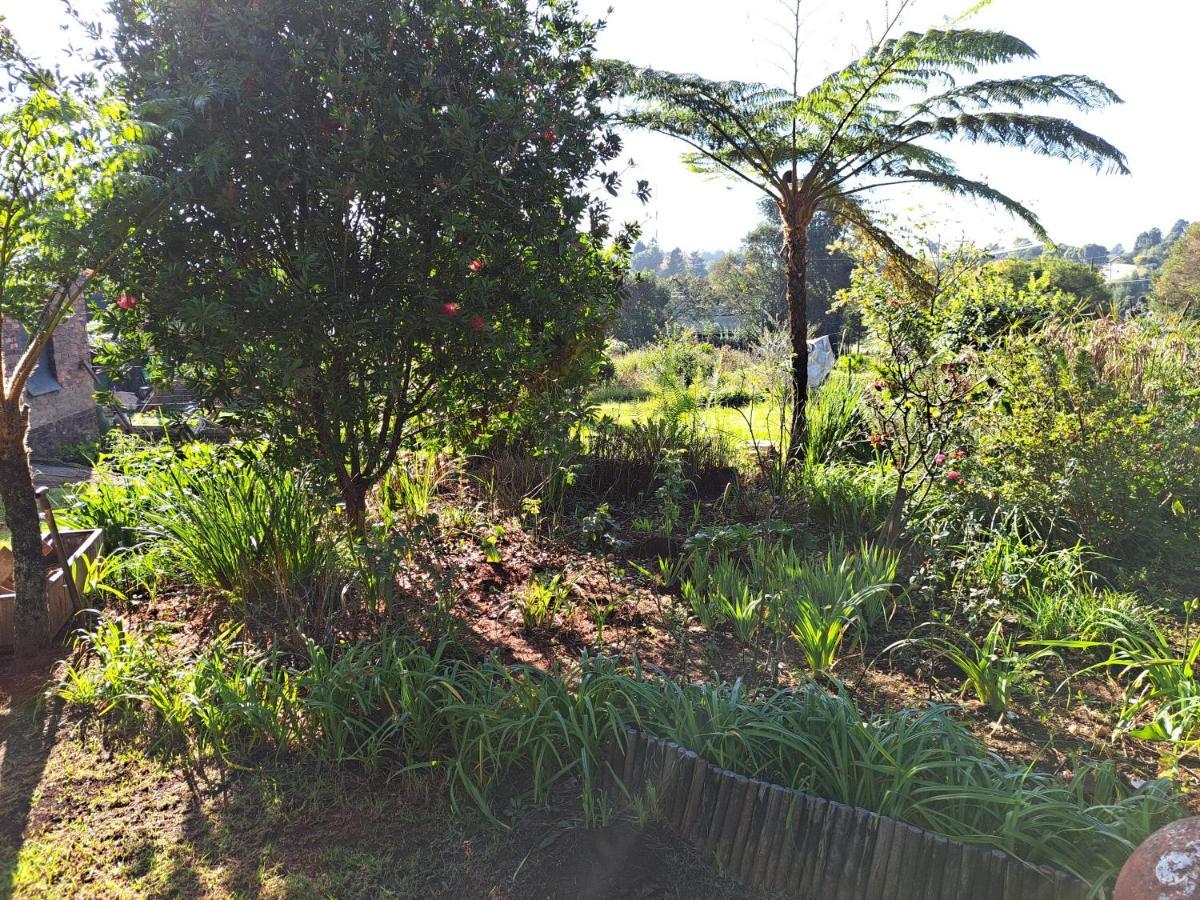 Horizon View Chalets Graskop Esterno foto